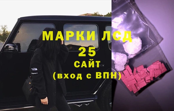 гидра Кулебаки
