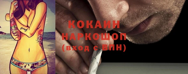гидра Кулебаки