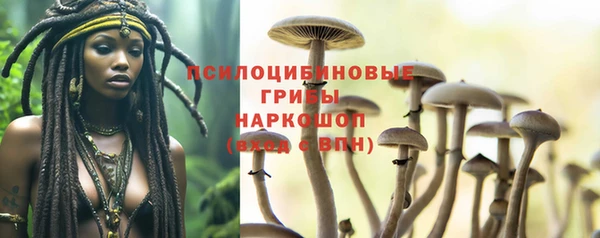 гашик Ладушкин
