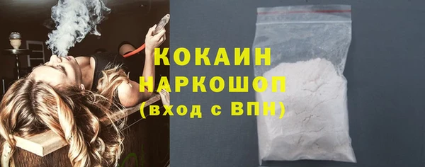 гидра Кулебаки