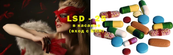 спиды Кукмор