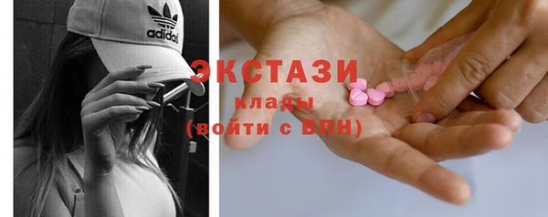 гидра Кулебаки