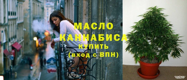 гидра Кулебаки