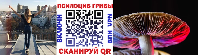 Купить  Уфа  Псилоцибиновые грибы мицелий 